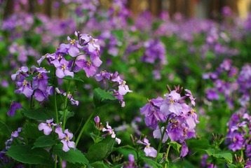IMGP1548.jpg