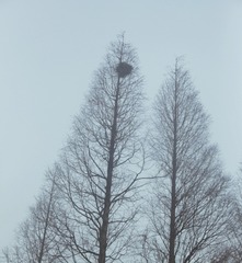 A508C9AD-C679-4E00-8EE0-800A33BF4F35/L0/001