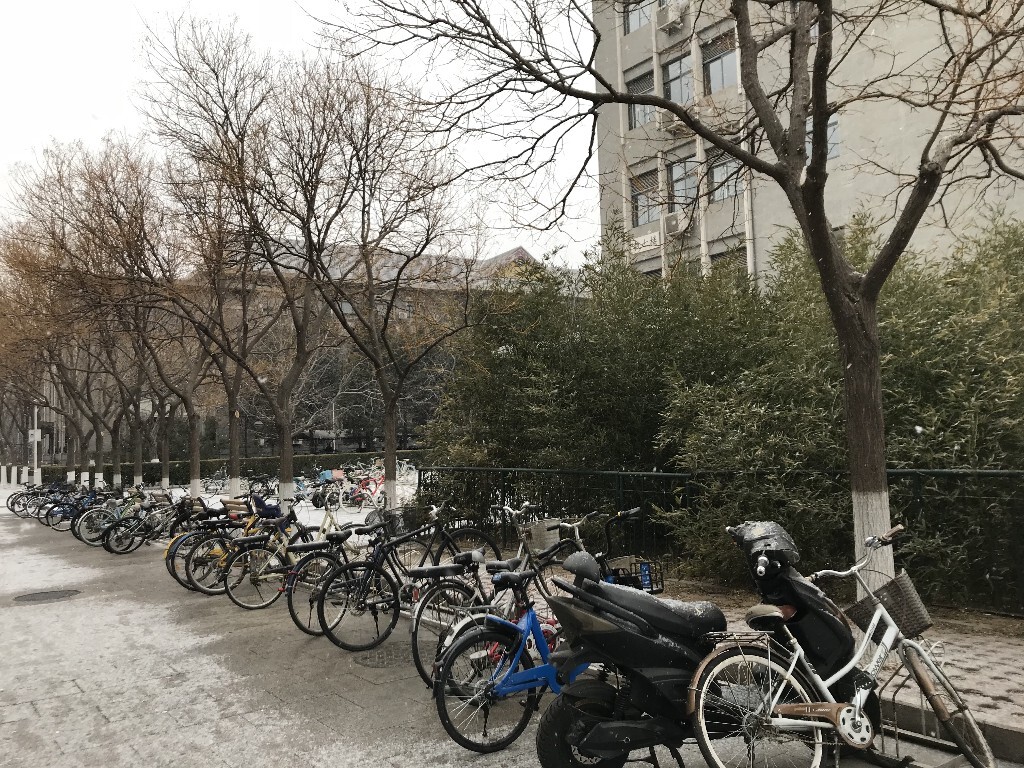 雪中的北师大：教七