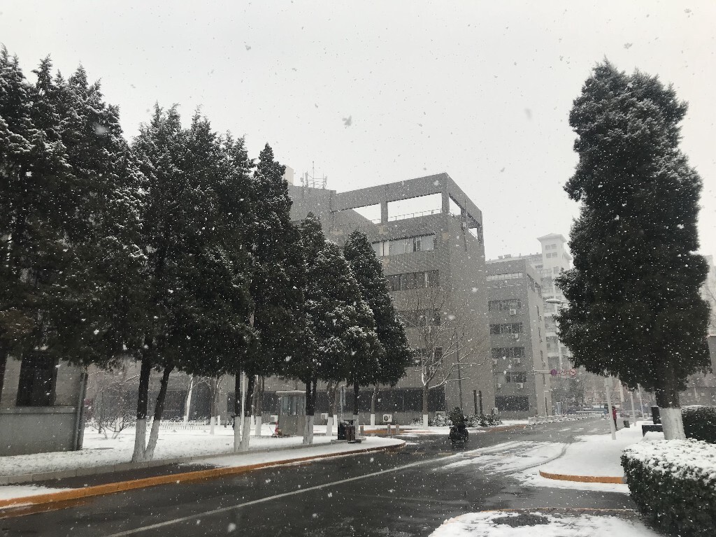 雪中的北师大
