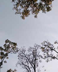E87C2B68-4387-4A4D-9D74-58DC30155078/L0/001