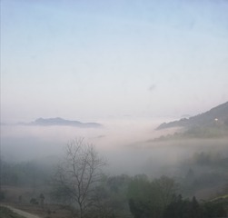 113031