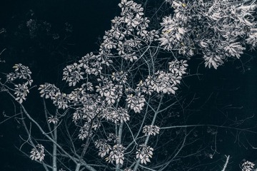 C0449700-BE0A-4159-A712-A26D2A28945A/L0/001