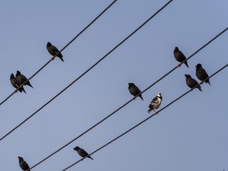 F004862B-5803-400F-90B1-A93C5636D754/L0/001