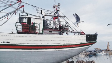 D113974B-0655-4CDD-8F81-549F978B05B2/L0/001