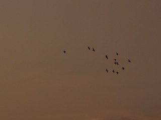 F0585D8C-A42C-4217-A1F1-76F8FCF1E5A5/L0/001