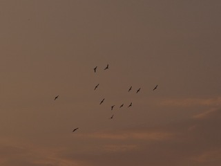 8C2B3EB5-F12D-45BF-9CE8-170963CF0556/L0/001