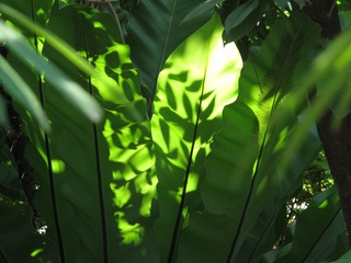 D626AB5F-9D06-4C33-8101-0A4A7F01E04F/L0/001