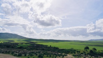26BC1E7A-F58E-4F6F-83F3-C4C077EC3F16/L0/001