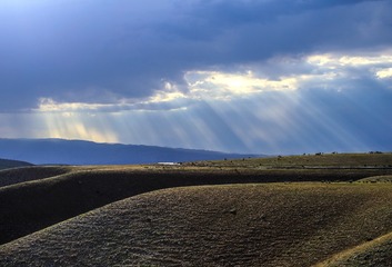 1000069056