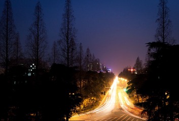 IMG_8986.jpg