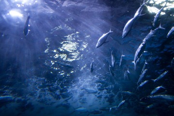 IMG_4132.jpg