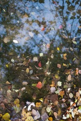 DSCF0128.jpg