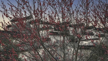9D7AB8AC-BF61-4737-BF35-A5364EAF8E66/L0/001