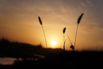 1F37D8D0-8599-4FD7-8FDC-EAD205081BC6/L0/001