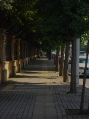 EF4F0B77-1338-48DD-86BF-378DDF58E70C/L0/001