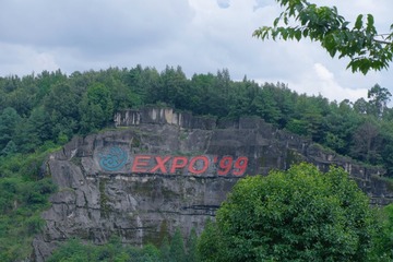 D5E79E05-1859-458B-935D-76025D971ACD/L0/001