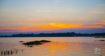 _DSC46851920
