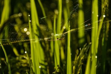 7C87011F-E7A0-4D24-BA31-64924472E42D/L0/001