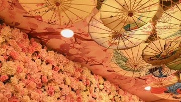 465A3EF8-72EE-452A-BC48-0B05A70B6A38/L0/001