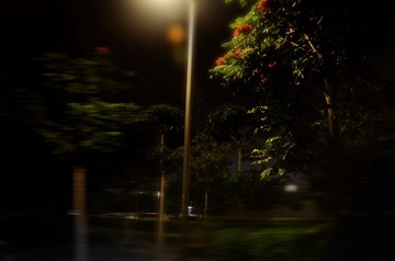 888222.jpg