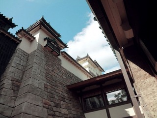 DSC01816.JPG