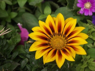 P5023764