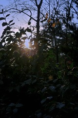 090E1692-E66B-4173-82E8-9BD4E754852C/L0/001