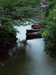 P1017639-1.jpg