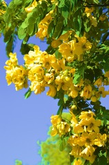DF49E6F0-3D5C-4060-89D6-F9C171C0ECE1/L0/001