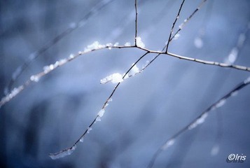 IMG_8568.jpg