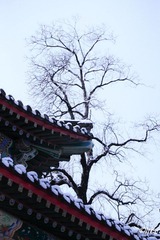 IMG_8612.jpg