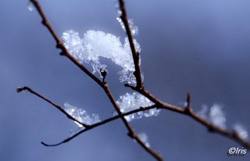 IMG_8622.jpg