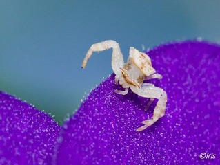 IMG_6138.jpg