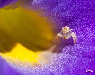 IMG_6170.jpg