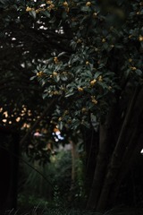 673498