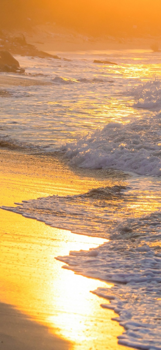 我看到了明亮的阳光还有比光更耀眼的少年