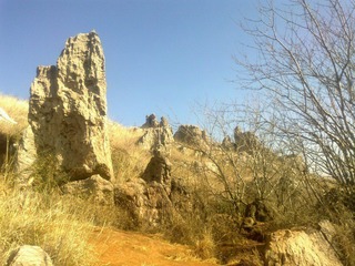 20120202599.jpg