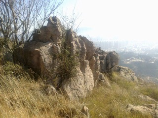 20120202600.jpg