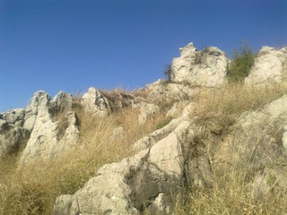 20120202601.jpg