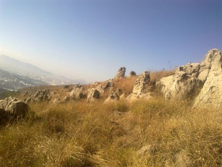 20120202602.jpg