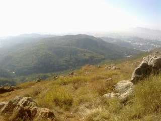 20120202603.jpg