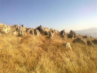 20120202604.jpg