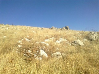 20120202605.jpg