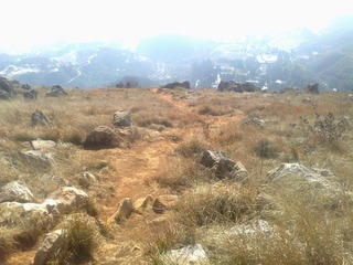 20120202607.jpg