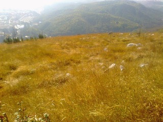 20120202608.jpg