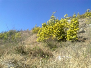 20120202590.jpg