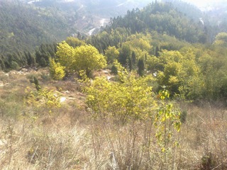 20120202594.jpg