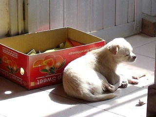 DSCF0009.JPG