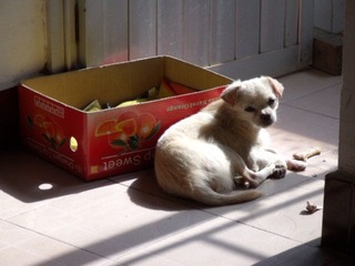 DSCF0010.JPG